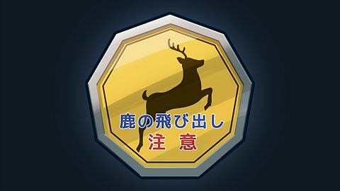 Crottes de daim partout