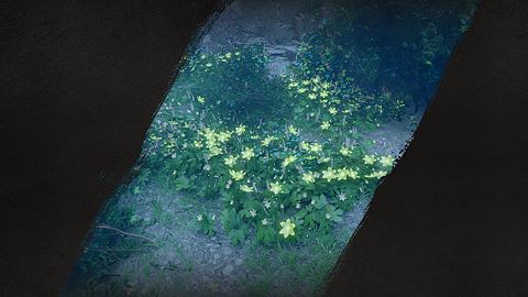 Amoureux de la nature