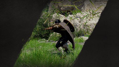 Grand collectionneur d'armes