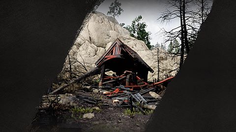 Protecteur de Pailune