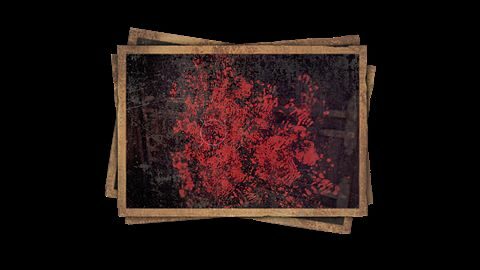 Purification intégrale