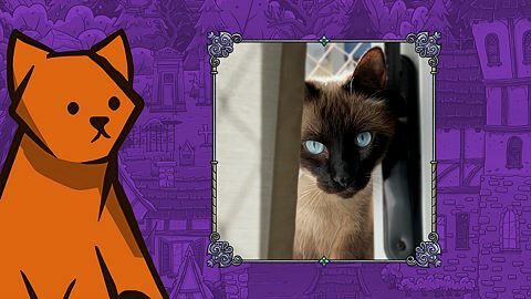 Found Alce Luvas Charmosas