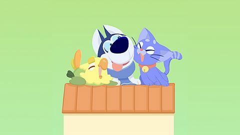 Primary Accomplice Rescuer Certificate