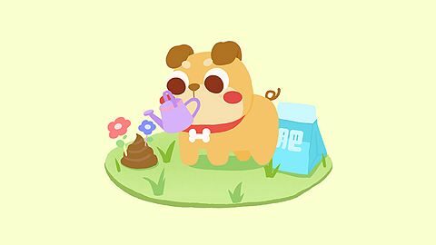 Primary Fertilizer production Certificate