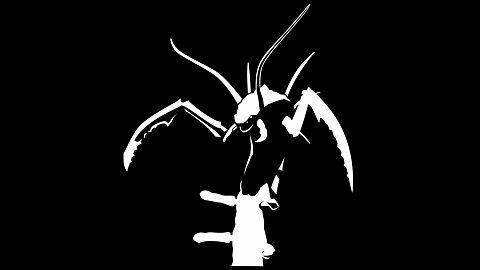 How to survive the desert