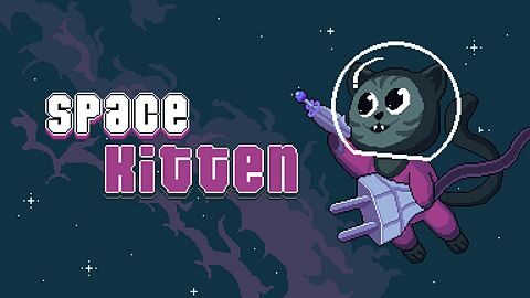 Start Space Kitten