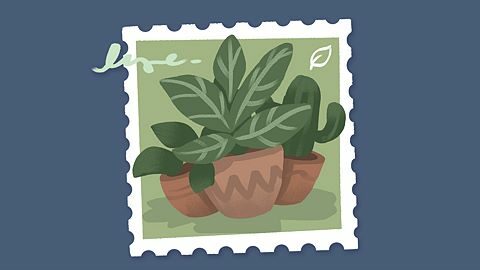 Ils sont où, les livres, ils sont où ?