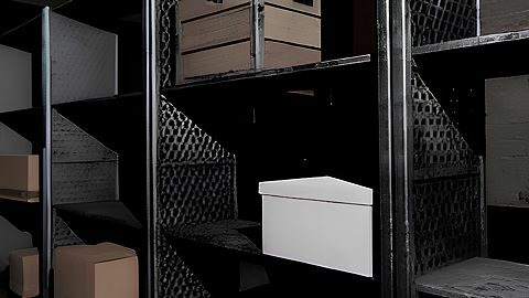 Between Shelves, Beyond Reach