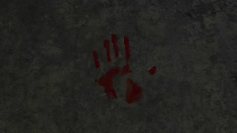 Murderer
