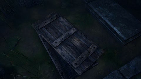 Saved from the Shadows