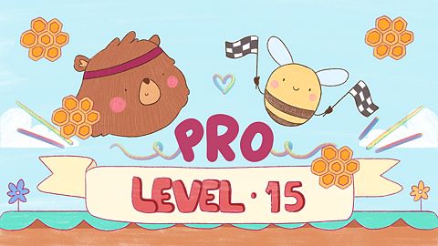 Level 15 Pro