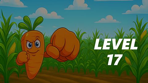 Level 17