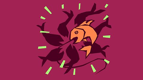 Fish Finder