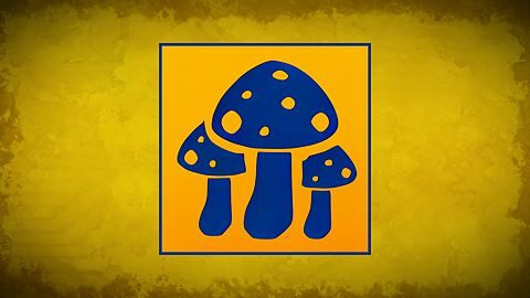 Shroom Man