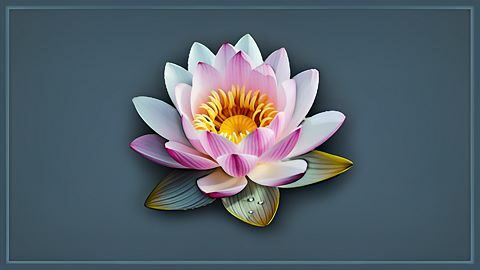 Completed the scenario: "Lotus Flower"