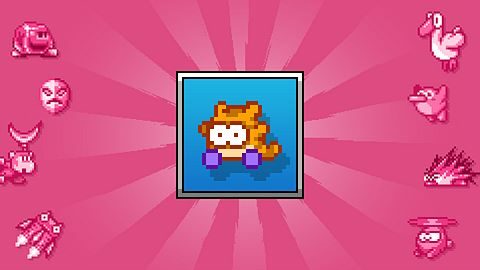 Champion poids plume