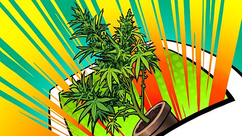 Super Duper Chronic