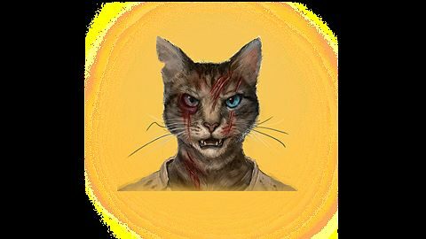 Chat des Rues