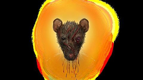 Le chat et la souris