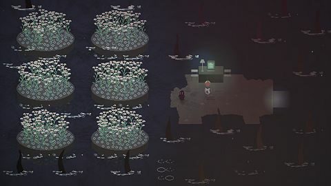 Achillea Millefolium