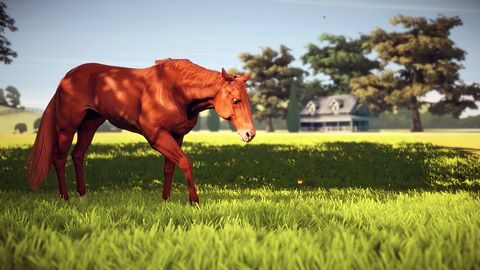 Genetically superior