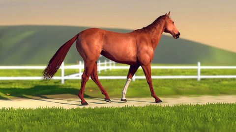 Putting them through their paces