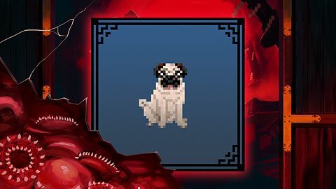 Lord of the Pugs