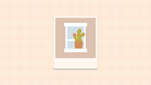 Petit jardin pour petit appartement
