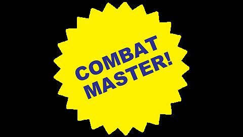 Maître du combat