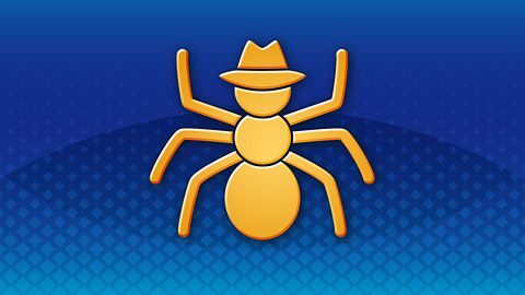 Insect With Style