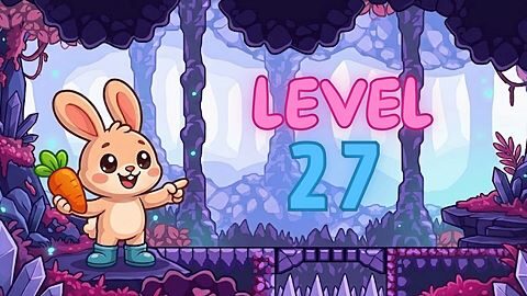 Level 27