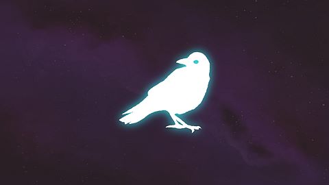 Ornithologue