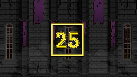 Level 25