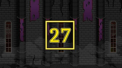 Level 27