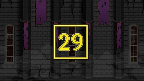 Level 29