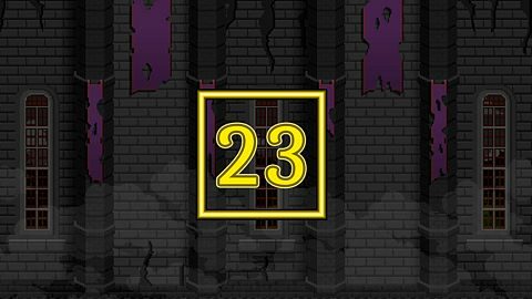 Level 23