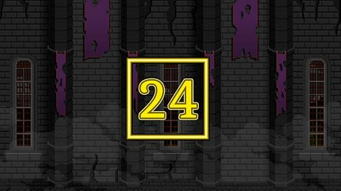 Level 24