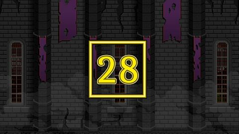 Level 28