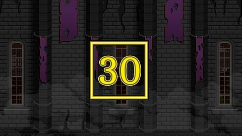 Level 30