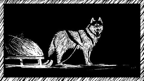 The Furry Express