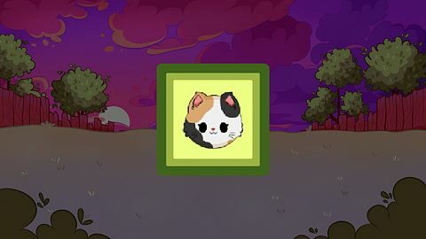 Kingdom of Cats
