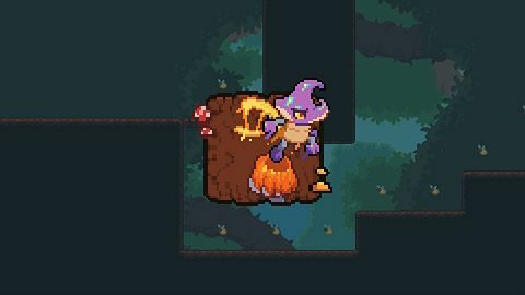 Booster Mushrooms
