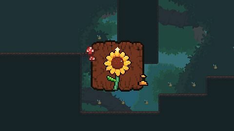 Golden Sunflower