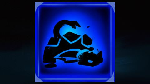 Tortue noire