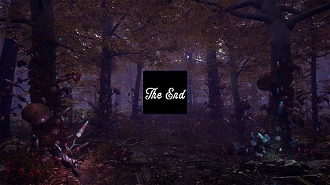The End
