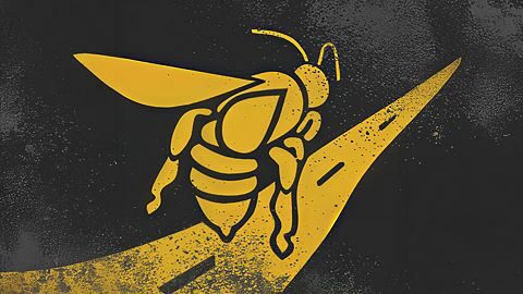 Bee line to the finish