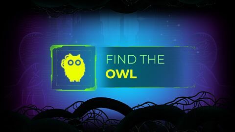 Find the Owl