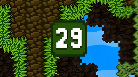 Level 29