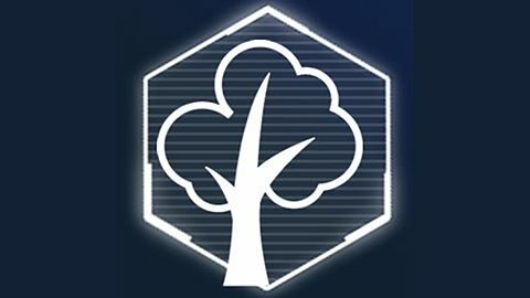 Les forêts